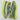 Adidas Yeezy Boost 350 V2 Yeezreel (Reflective)